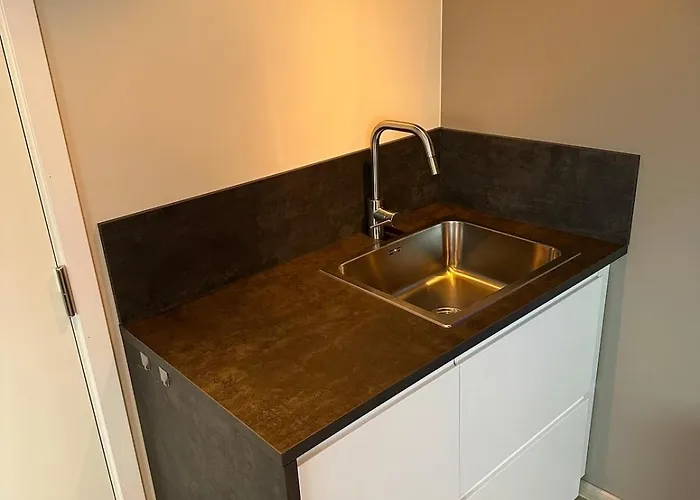 Centrally With Garage And Terrace Ålesund